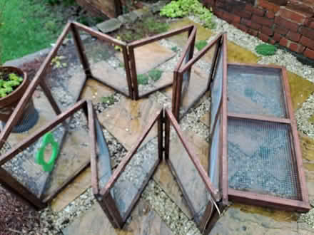 Photo of free Rabit run (Lower Walkley S6) #1