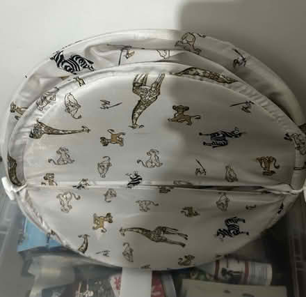 Photo of free Lion king clothes basket (Chatham ME4) #3