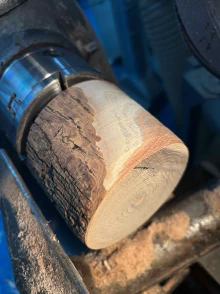 Photo of Logs for wood turning (SE5) #2