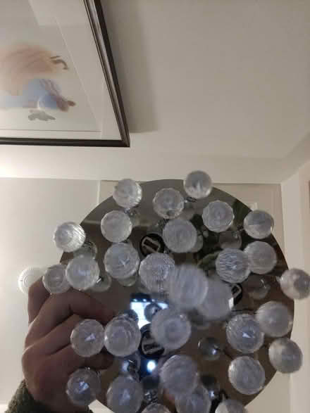 Photo of free Ceiling light (EH16, Prestonfield) #3