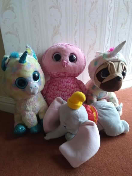 Photo of free 4 XL soft toys (Runwell SS11) #1