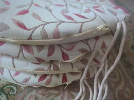 Photo of free Four cushions/pads for dining chairs (Malvern Wells WR14) #2