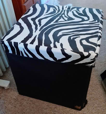 Photo of free Collapsible storage seat (West Bedhampton PO9) #1