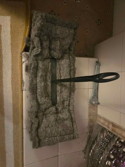 Photo of free Chimney sheep (Penrith CA10) #1