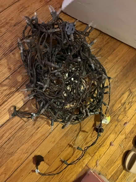 Photo of free White Christmas lights (Winter Hill) #2