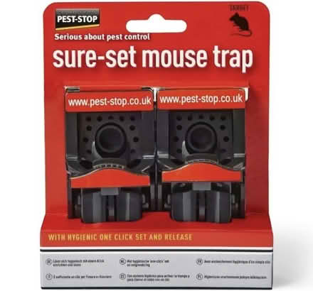 Photo of Pet friendly mouse traps (Isleworth TW7) #1