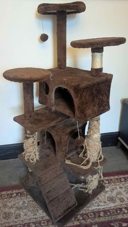 Photo of free Cat tree tower (Asby CA14) #1
