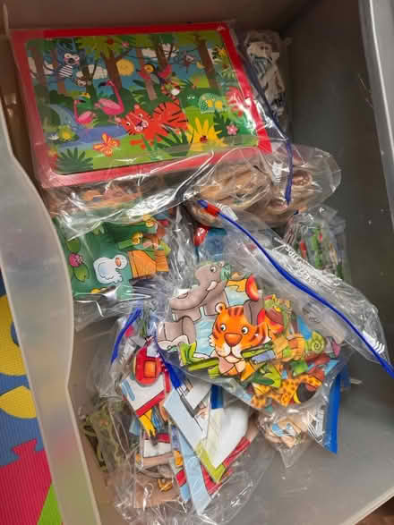 Photo of free Variety of Children's jungle puzzle (Hemel Hempstead HP2) #1