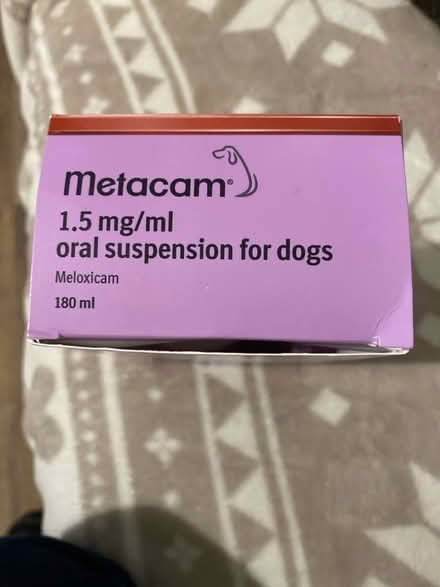 Photo of free Dog Metacam (Whins of Milton FK7) #3