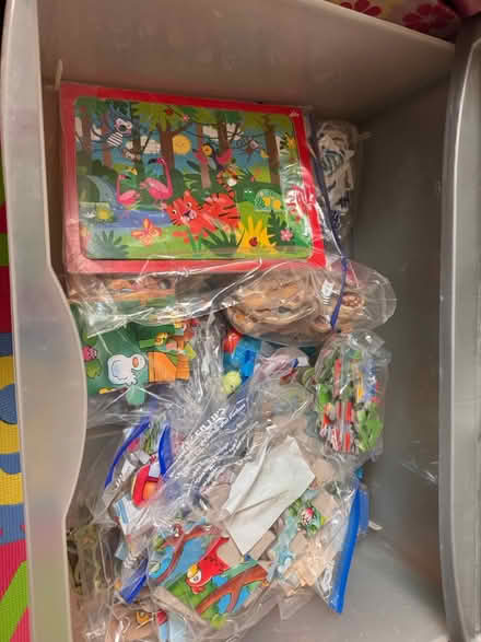 Photo of free Variety of Children's jungle puzzle (Hemel Hempstead HP2) #2