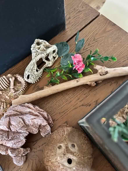 Photo of free Various vivarium things (Northolt) #3
