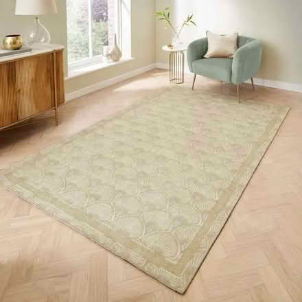 Photo of free Green Area Rug (Formby L37) #1
