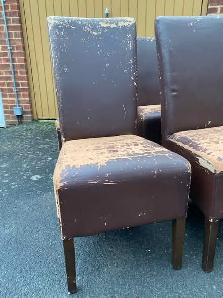 Photo of free 6 dining chairs (Bromley) #3