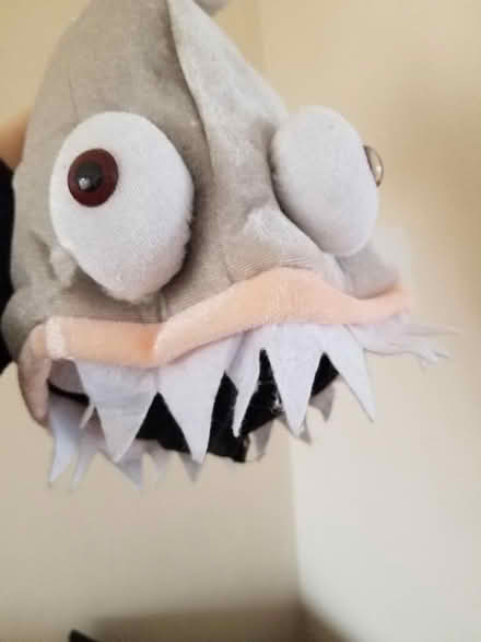 Photo of free Piranha hat fancy dress novelty (Gloucester) #1