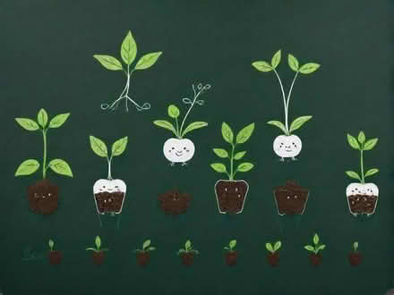 Photo of Seedlings organic if possible (Upshire EN9) #1