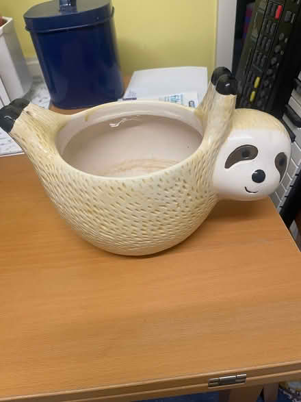 Photo of free Plant pot (Southdown) #1