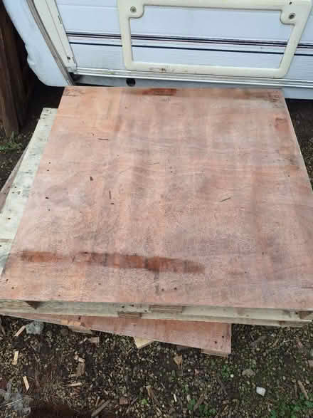 Photo of free Pallet/ plywood Apooxx 100 x 120cm (S21) #1