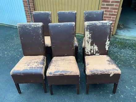 Photo of free 6 dining chairs (Bromley) #1