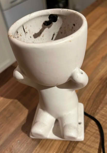 Photo of free Hanging Plant Pot (Glenleigh Park TN39) #1