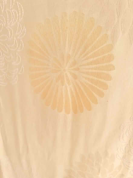 Photo of free Curtains lined (Bath) #3