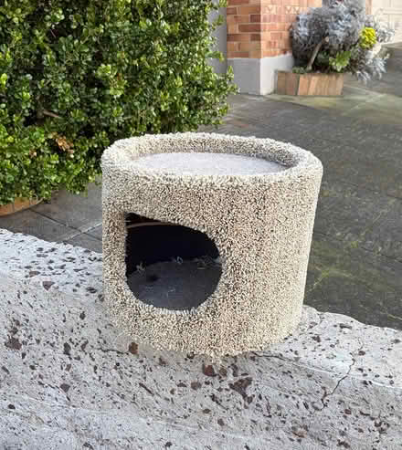 Photo of free Cat House (Inner Sunset) #1