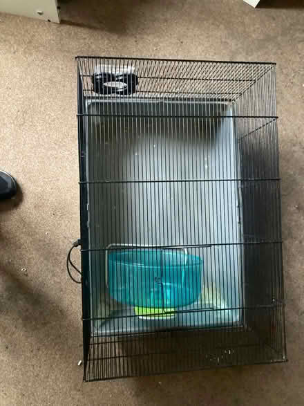 Photo of free Large animal cage (Headington OX3) #1