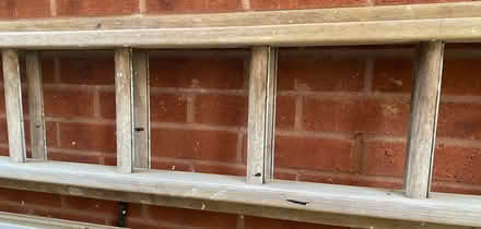 Photo of free Ladders (Blossomfield B91) #2