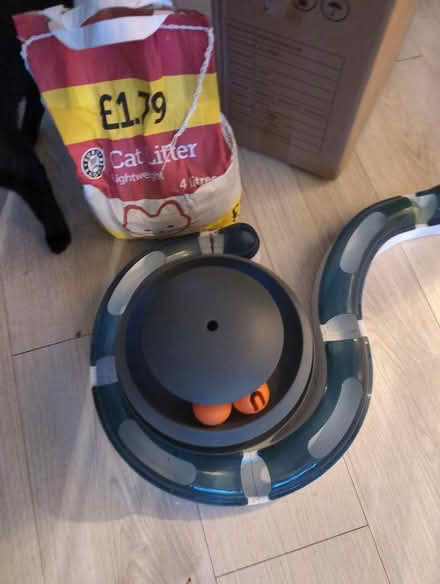Photo of free Cat litter and cat toys (Downham BR1) #1