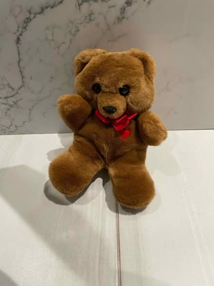 Photo of free Small teddy bear (Kennedy/16th in Markham) #1