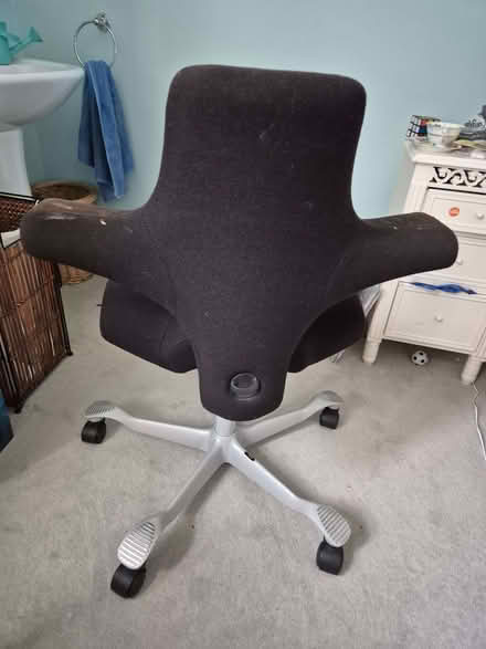 Photo of free Office chair (Bear Flat) #1