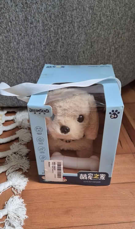 Photo of free Toy dog (Heath, CF14) #1