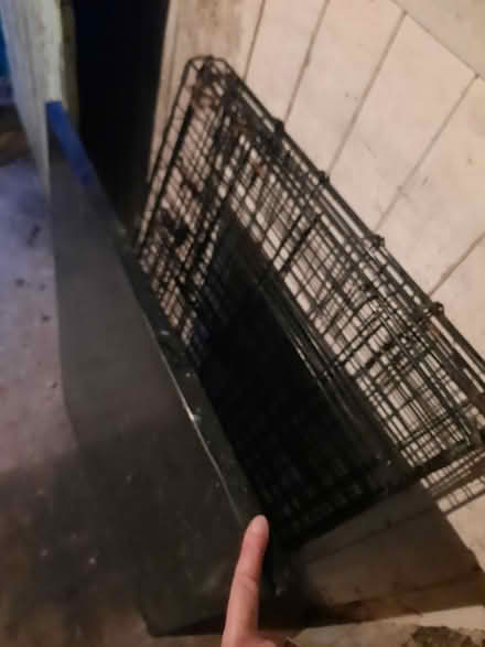Photo of free Puppy dog crate (Plumpton Green BN7) #1