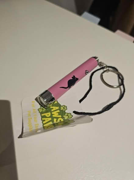 Photo of free Laser pointer cat toy (Oval Quarter SW9) #1
