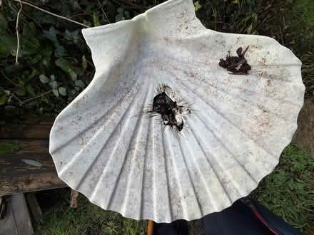 Photo of free Bird bath - needs repair (St Austell, Gover area) #2