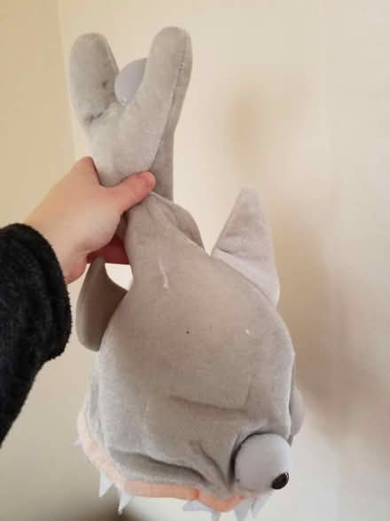 Photo of free Piranha hat fancy dress novelty (Gloucester) #3