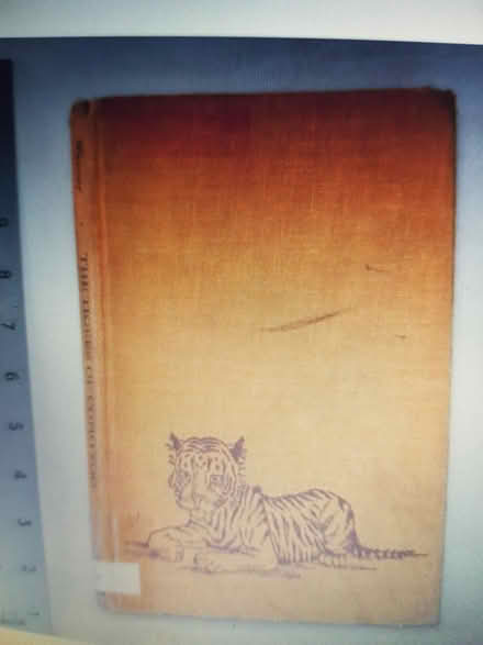 Photo of Book - The Tigers of Como Zoo (France Lynch, Chalford Hill) #1
