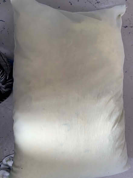 Photo of free Feather and Down Pillow (South Brampton) #2