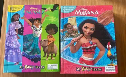 Photo of free Encanto / Moana book and play set (SK7 Hazel Grove) #1