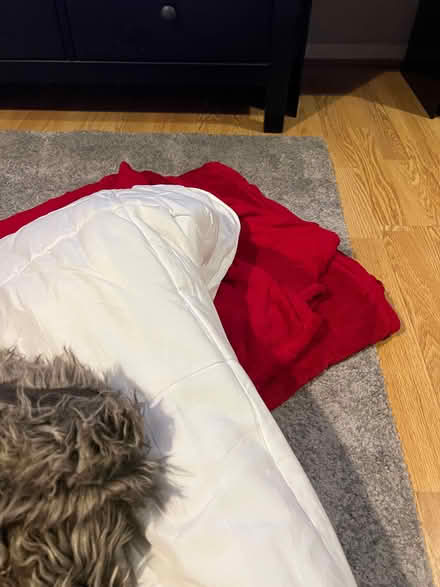 Photo of free Blankets mattress protector cushions etc (Chiswick W4) #2