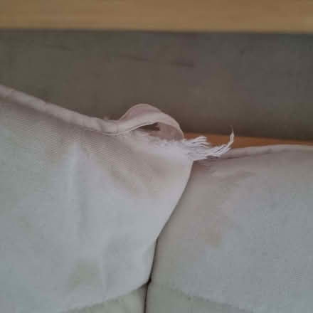 Photo of free Ikea Poang Chair (Newbold S41) #2