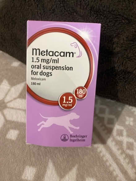 Photo of free Dog Metacam (Whins of Milton FK7) #1