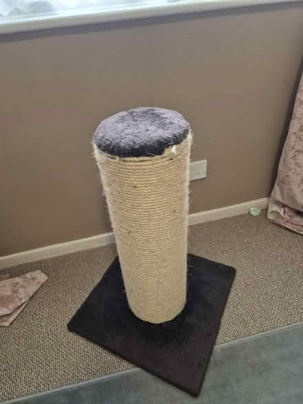 Photo of free Cat towers and large scratch post (Drayton PO6) #3