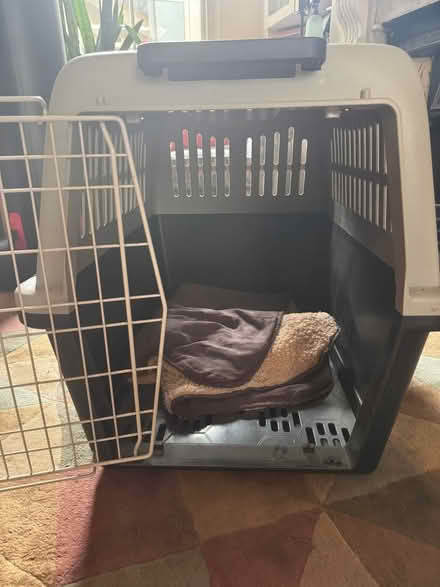 Photo of free Dog box (Stoke Newington N16) #2