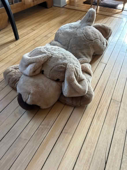 Photo of free Huge dog stuffed animal (Wilmette) #1
