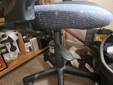 Photo of free Computer Chair (Smiths Estate OX28) #3