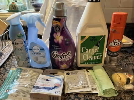Photo of free Cleaning items laundry and kitchen (Goffs Oak EN7) #1