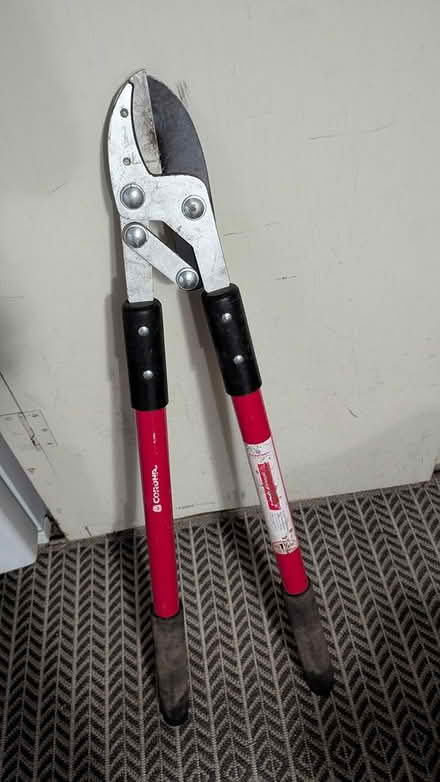 Photo of free Tree Loppers (Bellevue Bridle Trails area) #2