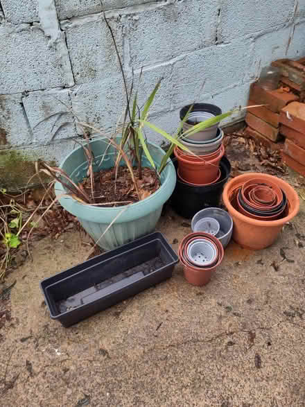 Photo of free Plant pots bundle (Bristol BS3) #1