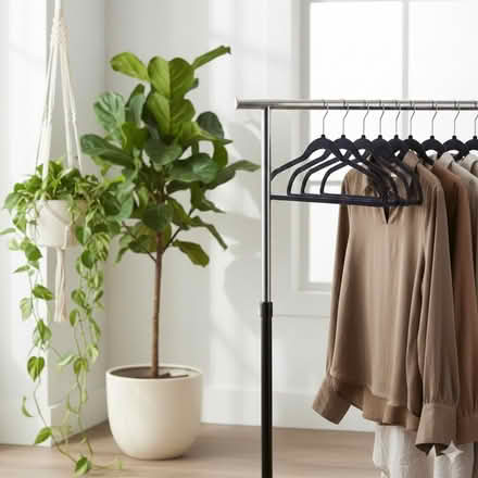 Photo of Plants & Hangers + FREE GIFT (Somerville) #1