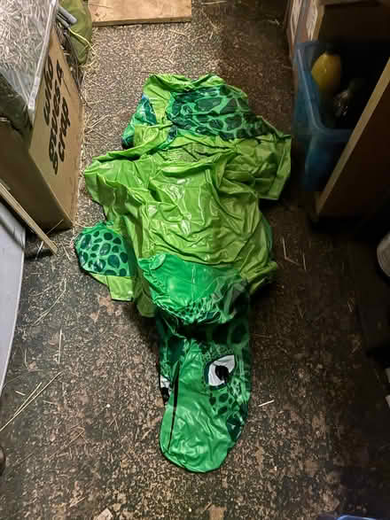 Photo of free 9 Large Pool Inflatables (Chippenham SN15) #3